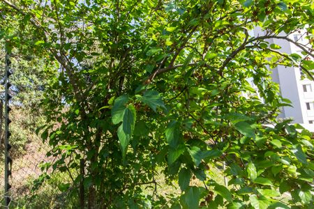 Apartamento à venda com 84m², 2 quartos e 2 vagasVista