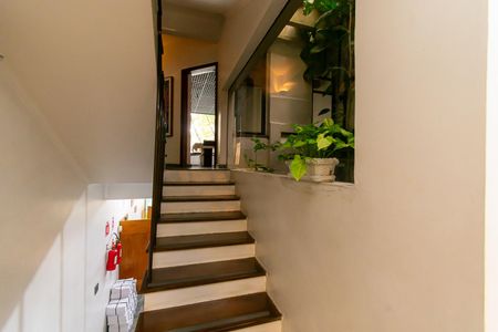 Casa à venda com 464m², 8 quartos e 5 vagas Casa à venda com 464m², 8 quartos e 5 vagasEscada