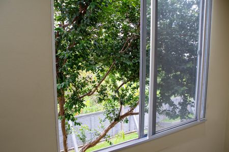 Apartamento para alugar com 52m², 2 quartos e 1 vaga Apartamento para alugar com 52m², 2 quartos e 1 vagaVista Janela sala