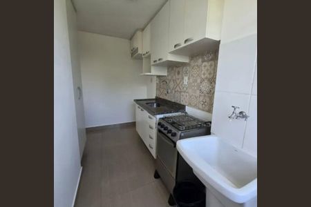 Cozinha de apartamento para alugar com 2 quartos, 55m² em Vila Santa Claudina, Vinhedo