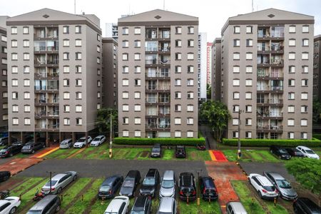 Apartamento para alugar com 87m², 3 quartos e 1 vagaQuarto 1