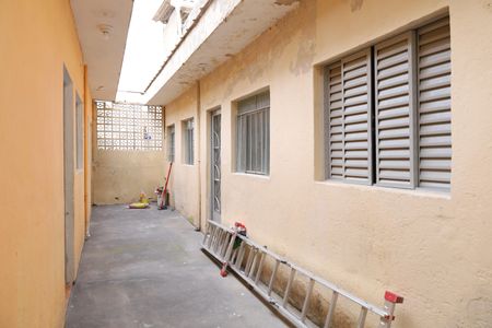 Casa para alugar com 40m², 1 quarto e sem vagaQuintal