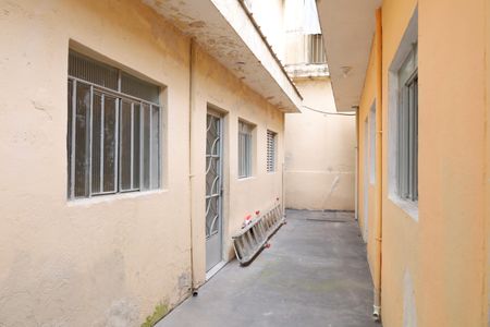 Casa para alugar com 40m², 1 quarto e sem vagaQuintal