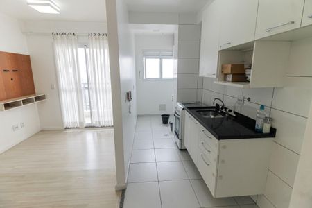 Apartamento à venda com 47m², 2 quartos e 1 vagaCozinha - Armários
