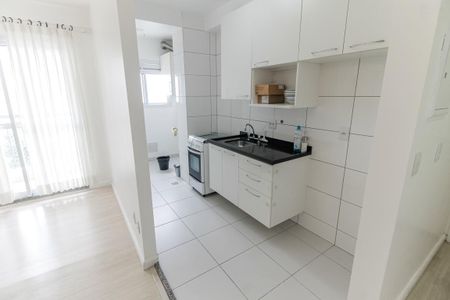 Apartamento à venda com 47m², 2 quartos e 1 vagaCozinha - Armários