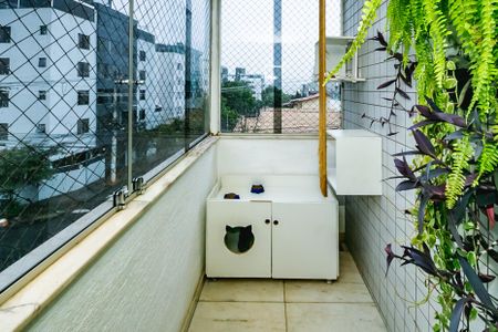 Apartamento para alugar com 3 quartos, 96m² em Dona Clara, Belo Horizonte