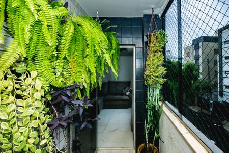 Apartamento para alugar com 3 quartos, 96m² em Dona Clara, Belo Horizonte