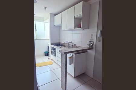 Cozinha de apartamento para alugar com 2 quartos, 47m² em Dona Zulmira, Uberlândia