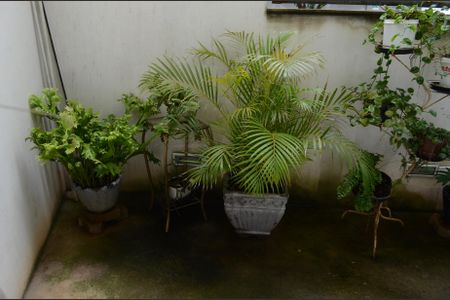 Casa para alugar com 302m², 3 quartos e 2 vagasJardim