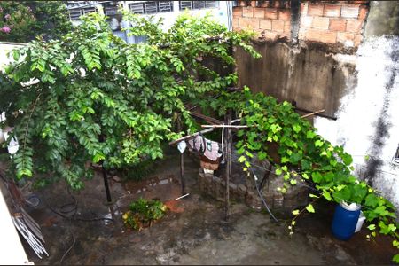 Casa para alugar com 302m², 3 quartos e 2 vagasQuintal