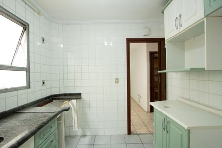 Apartamento para alugar com 50m², 2 quartos e 1 vagaCozinha 