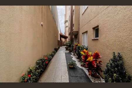 Apartamento à venda com 50m², 2 quartos e 1 vagaÁrea comum