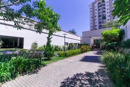 Apartamento para alugar com 68m², 2 quartos e 2 vagas Apartamento para alugar com 68m², 2 quartos e 2 vagasÁrea comum