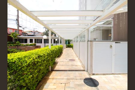 Apartamento para alugar com 64m², 3 quartos e 1 vagaÁrea comum