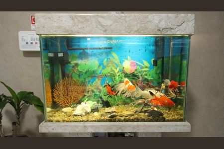 Studio para alugar com 30m², 1 quarto e 1 vagaÁrea comum