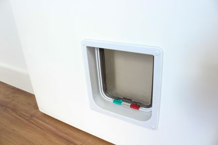 Passagem para Gato de apartamento para alugar com 2 quartos, 46m² em Vila Buarque, São Paulo