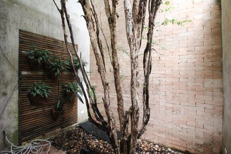 Casa para alugar com 107m², 2 quartos e 1 vaga Casa para alugar com 107m², 2 quartos e 1 vagaQuintal