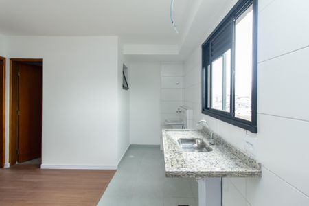 Apartamento para alugar com 38m², 2 quartos e sem vaga Apartamento para alugar com 38m², 2 quartos e sem vagaDetalhe da cozinha