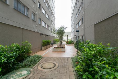 Studio para alugar com 26m², 1 quarto e sem vagaÁrea comum 