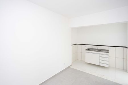 Sala de apartamento para alugar com 1 quarto, 43m² em Vila Clara, São Paulo