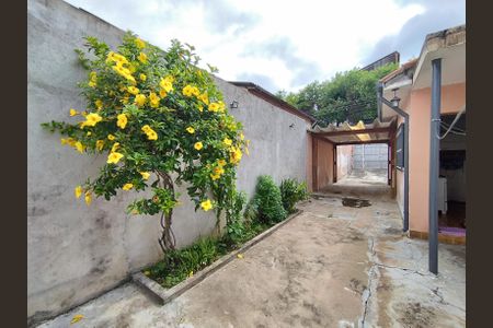 Casa para alugar com 50m², 1 quarto e 3 vagas Casa para alugar com 50m², 1 quarto e 3 vagasQuintal