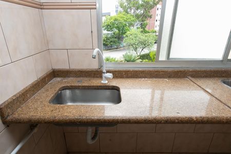 Apartamento para alugar com 56m², 2 quartos e 1 vaga Apartamento para alugar com 56m², 2 quartos e 1 vagaCozinha - Pia