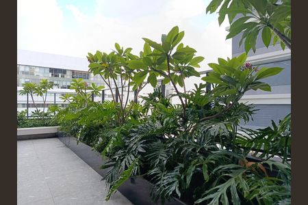 Studio à venda com 28m², 1 quarto e sem vaga Studio à venda com 28m², 1 quarto e sem vagaJardim