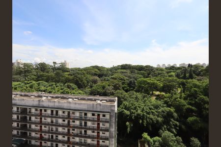 Apartamento para alugar com 70m², 2 quartos e 2 vagasVista da Suíte