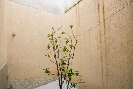 Apartamento para alugar com 45m², 2 quartos e 1 vagaÁrea de serviço/Quintal