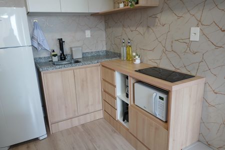 Cozinha de apartamento para alugar com 2 quartos, 45m² em Brás, São Paulo