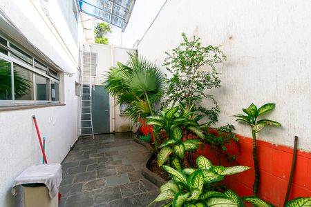 Casa para alugar com 270m², 3 quartos e 2 vagasQuintal