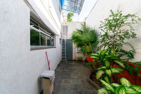 Casa para alugar com 270m², 3 quartos e 2 vagasQuintal