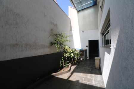Casa para alugar com 300m², 3 quartos e 2 vagasQuintal