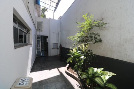 Casa para alugar com 300m², 3 quartos e 2 vagasQuintal
