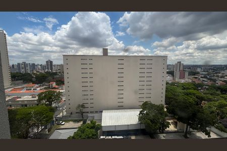 Apartamento para alugar com 65m², 3 quartos e 2 vagasSuite Vista