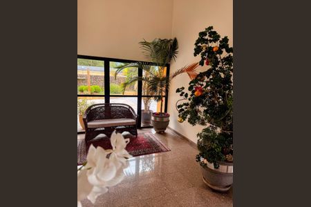 Apartamento para alugar com 2 quartos, 335m² em Vila Andrade, São Paulo