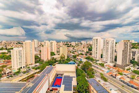 Apartamento para alugar com 3 quartos, 82m² em Vila Santa Catarina, São Paulo