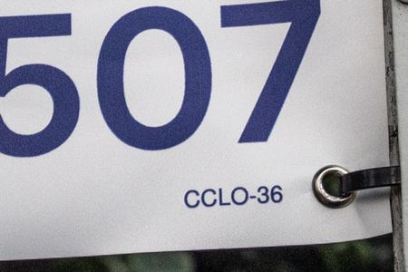 Casa para alugar com 252m², 5 quartos e 3 vagas Casa para alugar com 252m², 5 quartos e 3 vagasCCLO-36