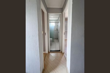 Corredor de apartamento para alugar com 2 quartos, 47m² em Vila Natalia, São Paulo