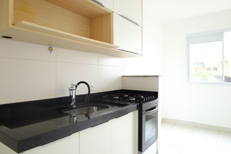 Apartamento para alugar com 33m², 2 quartos e sem vagaCozinha