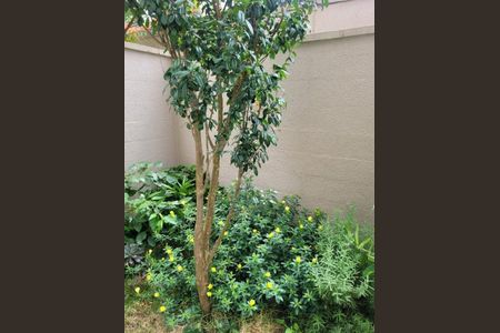 Apartamento à venda com 3 quartos, 103m² em Residencial Parque da Lapa, São Paulo
