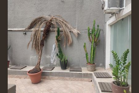 Casa para alugar com 3 quartos, 250m² em Pinheiros, São Paulo