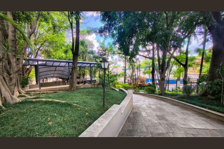 Apartamento para alugar com 70m², 3 quartos e 1 vaga Apartamento para alugar com 70m², 3 quartos e 1 vagaÁrea comum