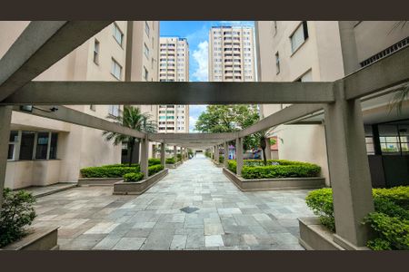 Apartamento para alugar com 70m², 3 quartos e 1 vaga Apartamento para alugar com 70m², 3 quartos e 1 vagaÁrea comum