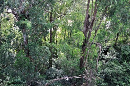 Apartamento para alugar com 65m², 2 quartos e 1 vagaDetalhe - Vista do Cozinha Americana e Área de Serviço