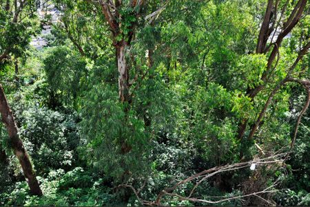 Apartamento para alugar com 65m², 2 quartos e 1 vagaDetalhe - Vista do Quarto 02