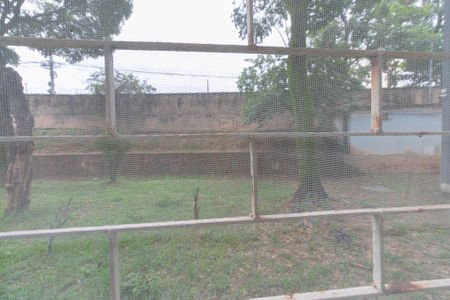 Apartamento para alugar com 3 quartos, 78m² em São João Batista, Belo Horizonte