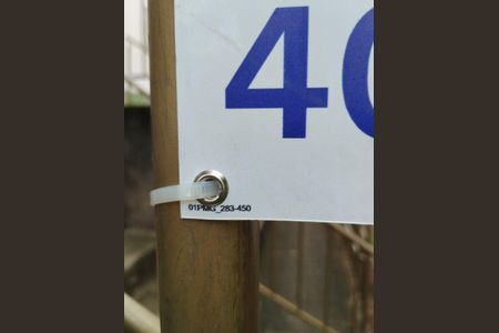 Apartamento para alugar com 48m², 2 quartos e 1 vagaPlaquinha Instalada 30/01/2026 BGOB-283