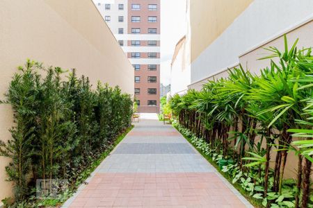 Studio para alugar com 24m², 1 quarto e sem vagaÁrea comum