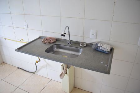 Cozinha de apartamento para alugar com 2 quartos, 55m² em Recanto das Palmeiras, Ribeirão Preto